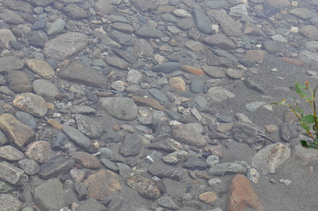 Background of the pebbles on the bottom of the Northern taiga mountain river in the area of the...
