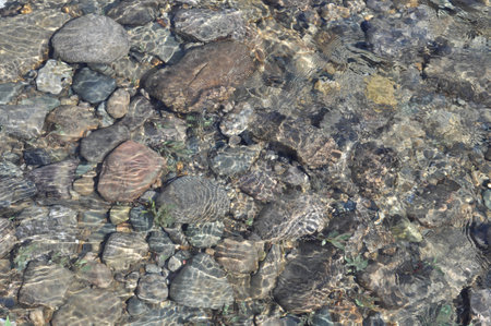 Background of river pebbles under the clear water. Polar Ural, Komi Republic, Russia.