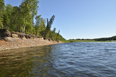 River landscape in the Urals. River Polar Urals - Paga on a Sunny summer day.