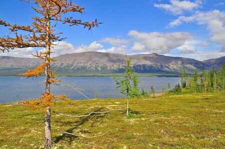 Mountain lake on the Putorana plateau. Water landscape, Putorana plateau, Siberia, Russia.の写真素材