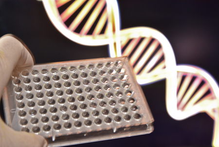 DNA testing in genetic laboratories. Biological scientific equipment.の写真素材