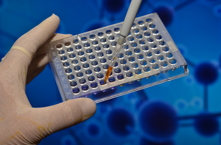 In the biomedical laboratory. The study of biological sample in a well plate.の写真素材