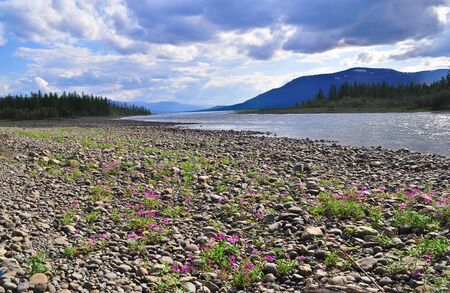River Muksun, the Putorana plateau. Summer water landscape in Taimyr, Siberia, Russia.の写真素材