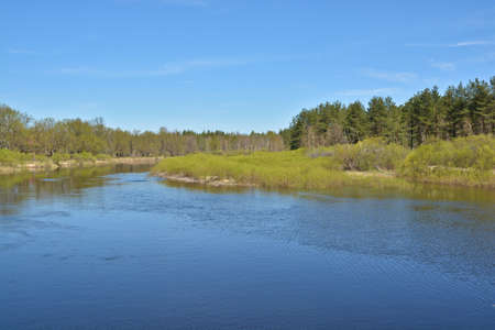 May morning at the forest river. Spring river landscape in the national Park of Central Russia.