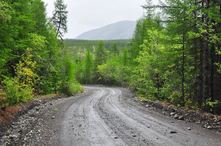 Photo dirt road after the rain in the Yakut taiga at the end of summer. Oymyakon highlands, a ridge of Suntar-khayata, between lake Ulu mosque and the river Suntar.の写真素材