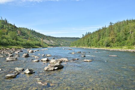 Summer landscape, northern river. Reserves in the Polar Urals in Russia.