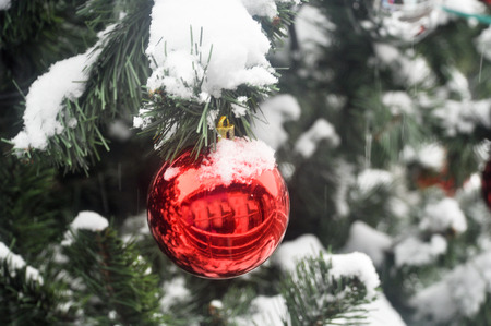 Red ball decorates the twig Christmas trees, covered with snow, on the street.の写真素材