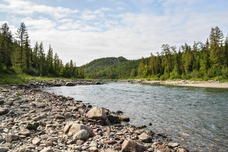 Northern taiga river in the summer. Water landscape of the eastern slope of the Polar Urals.の写真素材