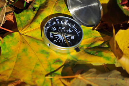 Compass on fallen leaves. Autumn in the Park compass rests on the ground among the maple leaves.の写真素材