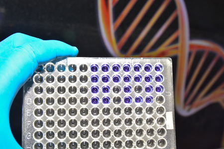 DNA testing. Genome research in a scientific laboratory.の写真素材