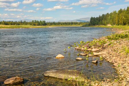 Summer river taiga landscape. The Shchugor River flows through the territory of the Yugyd Va...