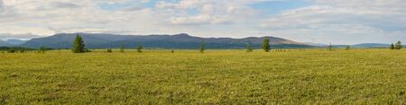 Panorama of the tundra in the natural Park on Taimyr. Summer landscape in the polar Urals.の写真素材