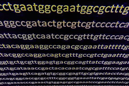 Abstract background, genetic code. Sequence of nucleotide bases in a DNA fragment.の写真素材
