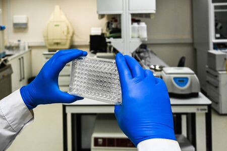 In the biology lab. Manipulations with samples during the study.の写真素材