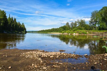 Forest and river. Summer landscape of the Northern taiga river.