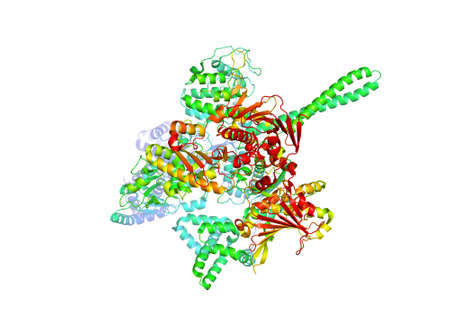 The crystal structure of the tumor marker protein. The 3D model of the biological macromolecule.