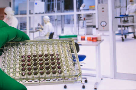 In the pharmacological laboratory. Study drugs on cytotoxicity.