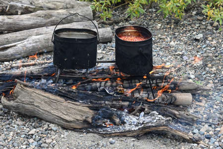 Camp fire. Burning logs of a fire and an installed stand for pots.