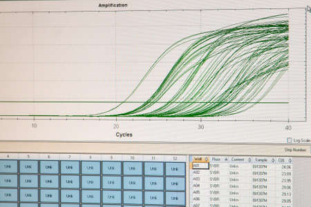 Amplification curves for real-time PCR reactions. Monitoring the progress of quantitative real-time...