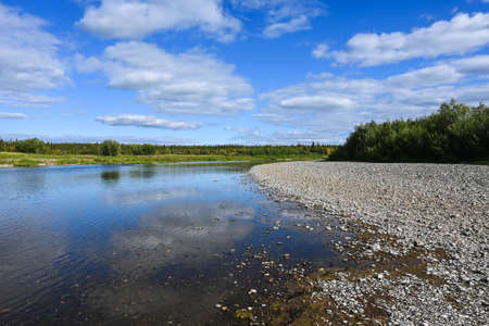 Taiga river among the Virgin Komi forests. Northern water summer landscape