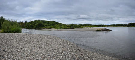Panorama of the taiga river. Wild river in the northern Urals in the Komi Republic, Russia.