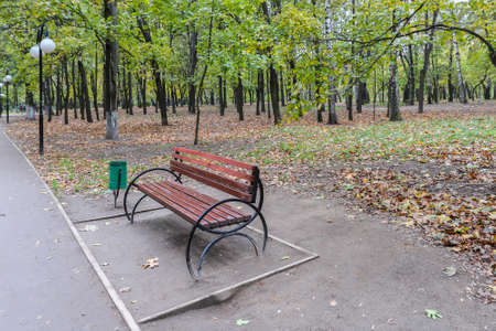 Bench in the autumn park. Park bench surrounded by fallen leaves in the city park.