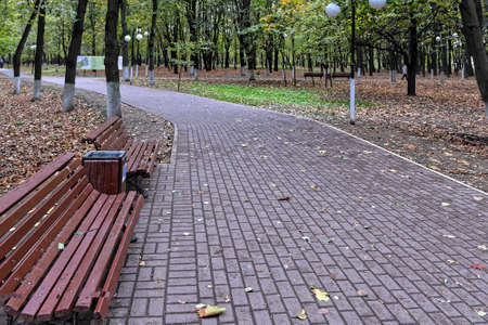 Bench in the autumn park. Park bench surrounded by fallen leaves in the city park.
