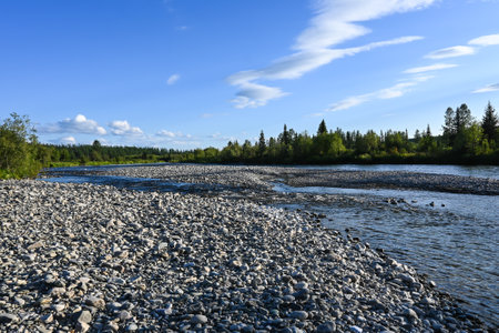On the taiga river. Summer water landscape in the northern forests.の写真素材
