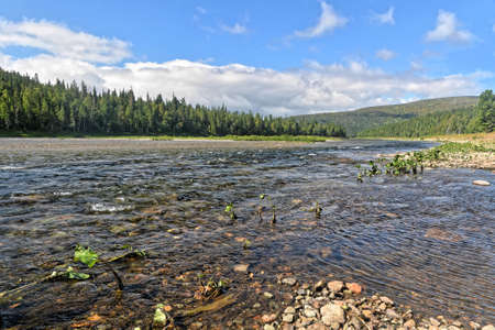 Summer in the Northern Urals. National Park Yugyd Va, Virgin Komi forests.