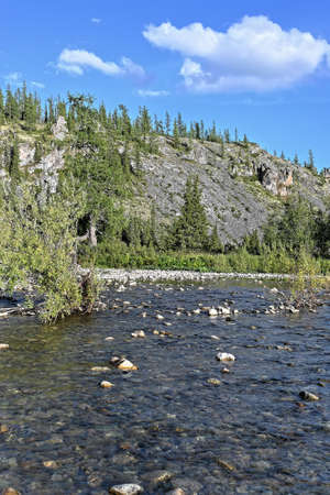 Northern river on a sunny summer day. Water landscape, national park in the Komi Republic, Russia.