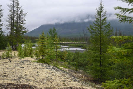 The Muksun River on the Putorana Plateau. River summer landscape of the north of Eastern Siberia.の写真素材