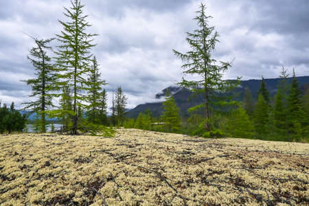 The Muksun River on the Putorana Plateau. River summer landscape of the north of Eastern Siberia.の写真素材