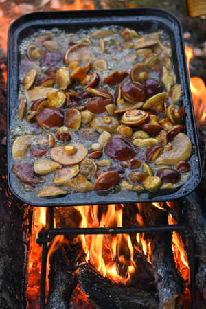 Baking tray with mushrooms on the fire. Cooking mushrooms while traveling.