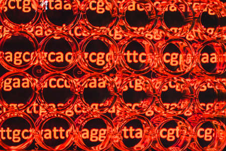 Abstract background - genome research. A look through a 24-well plate.の写真素材