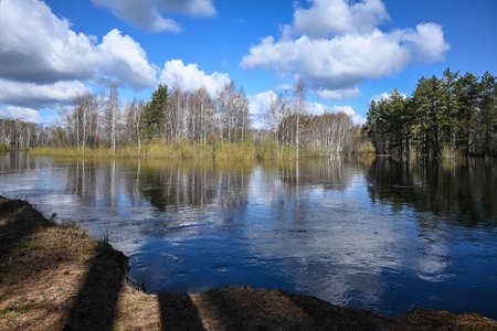 Forest river in May. Water spring landscape in the national park of central Russia.