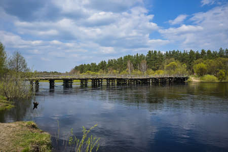 Forest river in May. Water spring landscape in the national park of central Russia.の写真素材