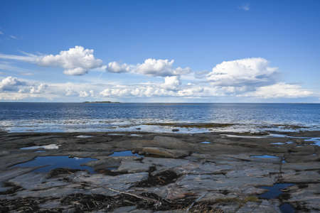 rocky seashore. Summer landscape of the White Sea. Russia, Republic of Karelia.の写真素材