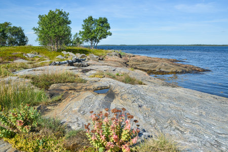 Karelian coast of the White Sea. Northern seascape in summer.の写真素材