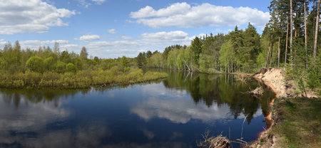 Panorama of the forest river. Spring river landscape in the national park of central Russia.