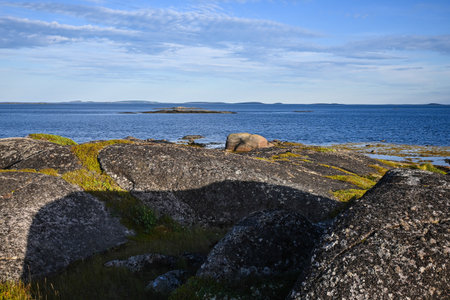 The coast of the White Sea. Summer seascape in the north-western region of Russia, Republic of Karelia.の写真素材