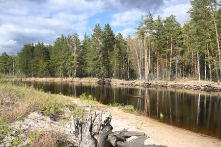 Spring in the Meshersky National Park. River spring landscape.の写真素材