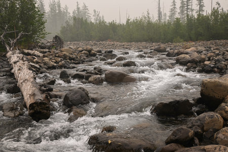 Rapids on a mountain stream. Cloudy landscape, Grayling creek on the Putorana plateau.