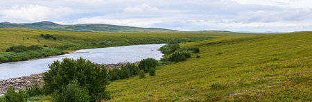 Inghilor Nature Park, panorama. Wildlife of the Yamal Peninsula.