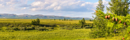 Inghilor Nature Park, panorama. Wildlife of the Yamal Peninsula.