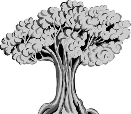 sketch of a treeのイラスト素材