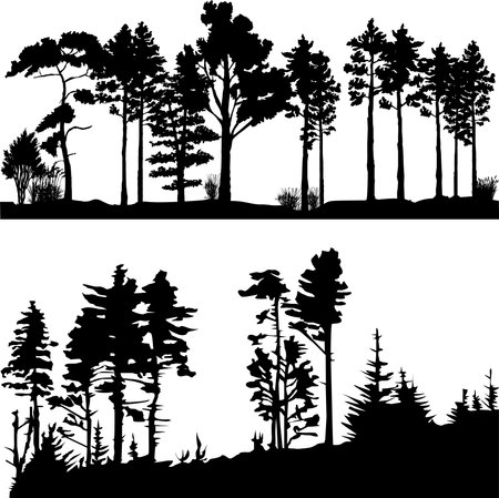 set of silhouettes of trees and forestのイラスト素材