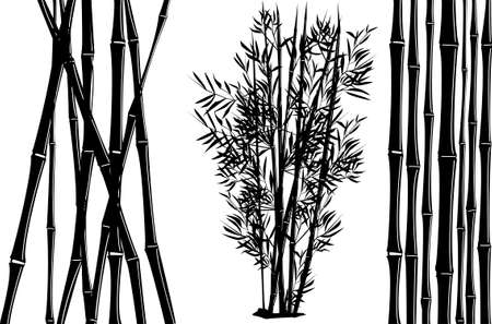 set of vector images of silhouettes bamboo and bamboo trunksのイラスト素材