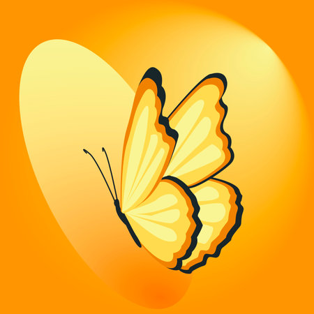Butterfly on an orange background. Vector illustration for your designのイラスト素材