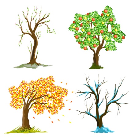 tree seasonのイラスト素材