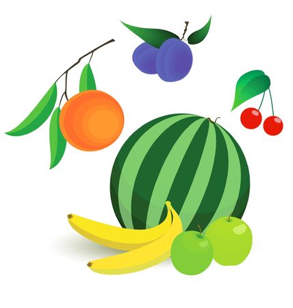 fruit setのイラスト素材